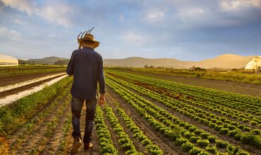 original-c61022f6c7ce7995a68f77cb7cf22738 original-c61022f6c7ce7995a68f77cb7cf22738